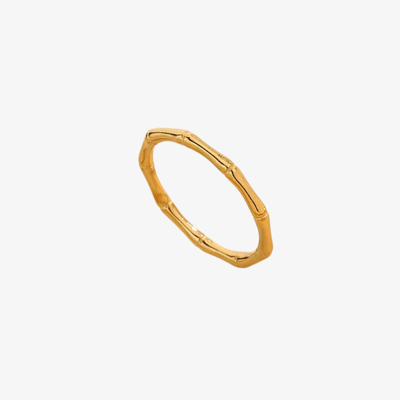 India Gold Bamboo Ring